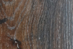 Canyon Black Oak