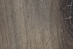 Celtic Oak