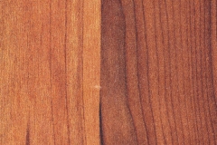 Cacau Marfim