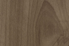 Nogueira - FYW 500-4