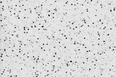 204 - Frosty Glen - 6005
